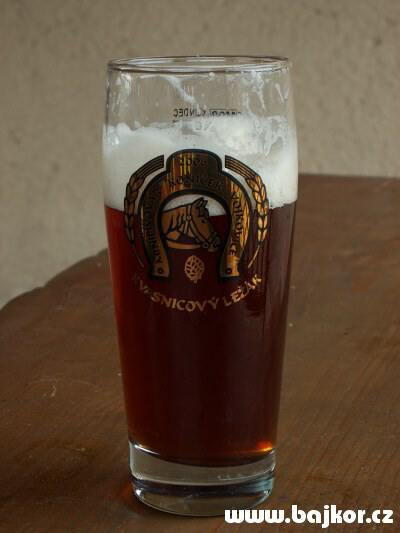 V Bystřici si dáváme zaslouženou odměnu, kvasnicové pivo Koníček z vojkovického rodinného pivovárku