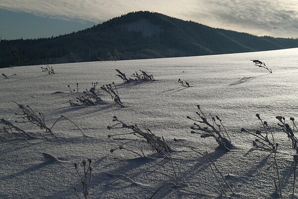 Pohled na Stoek pes zmrzlou krajinu