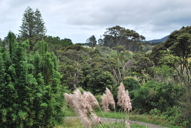 Volné pokračování fotografií z Nového Zélandu