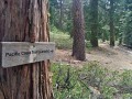 PCT in USA - 9